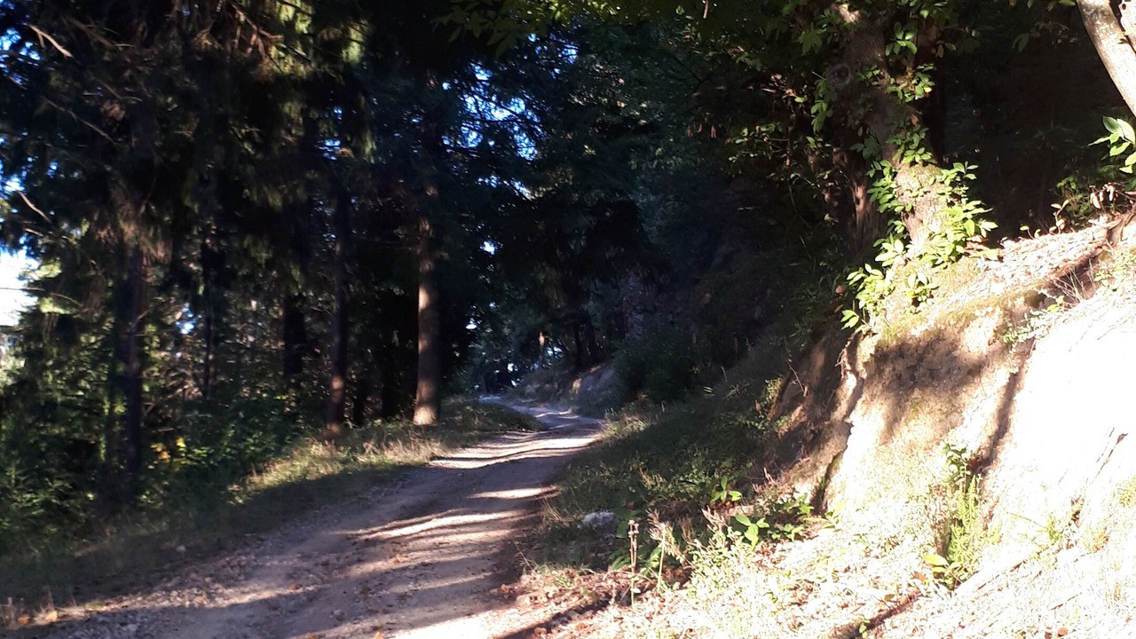 Photo of Outdoor in Taussac-la-Billiere