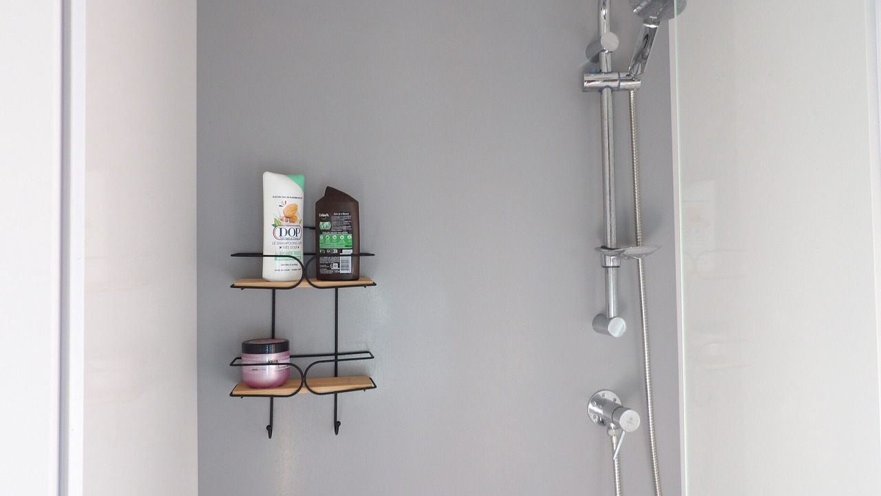 Photo of Bathroom in Saint-Cyprien