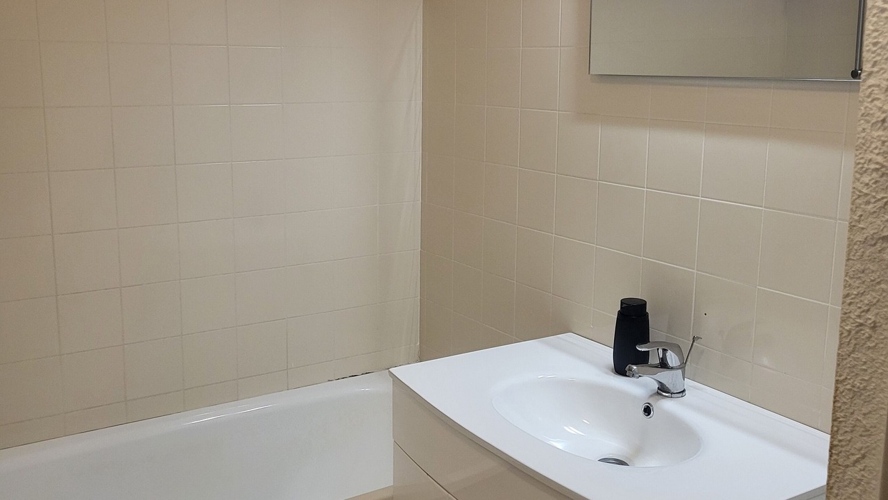 Photo of Bathroom in Allevard