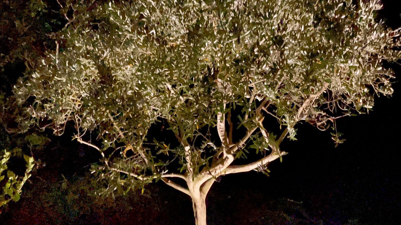 Photo of Outdoor in Salon-de-Provence