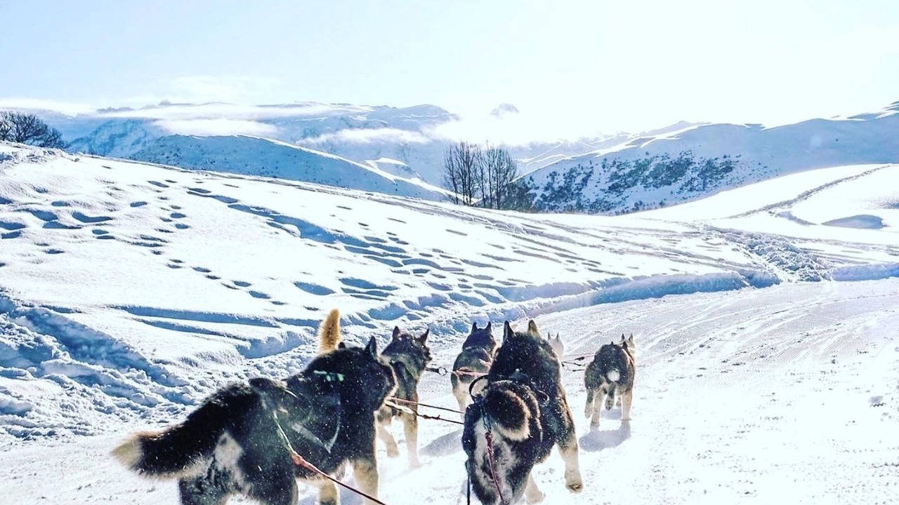 Photo of Others in Oz-en-Oisans