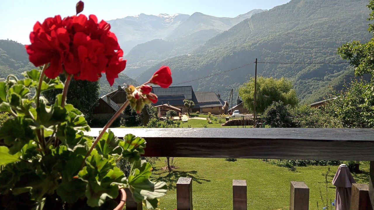 Photo of Outdoor in Auris