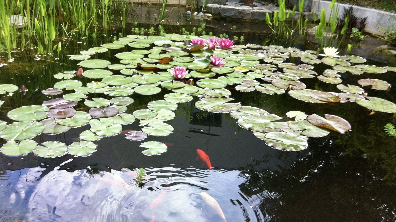 Photo of Outdoor in Saint-Jean-du-Pin
