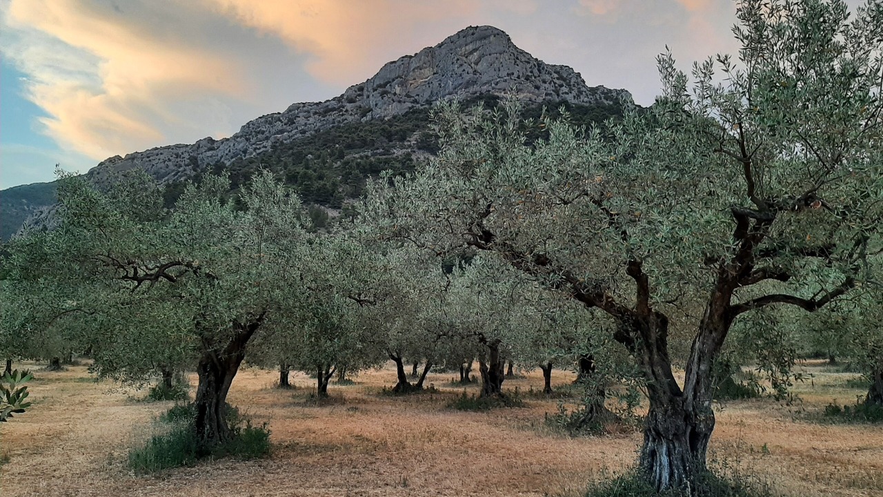 Photo of Outdoor in Buis-les-Baronnies