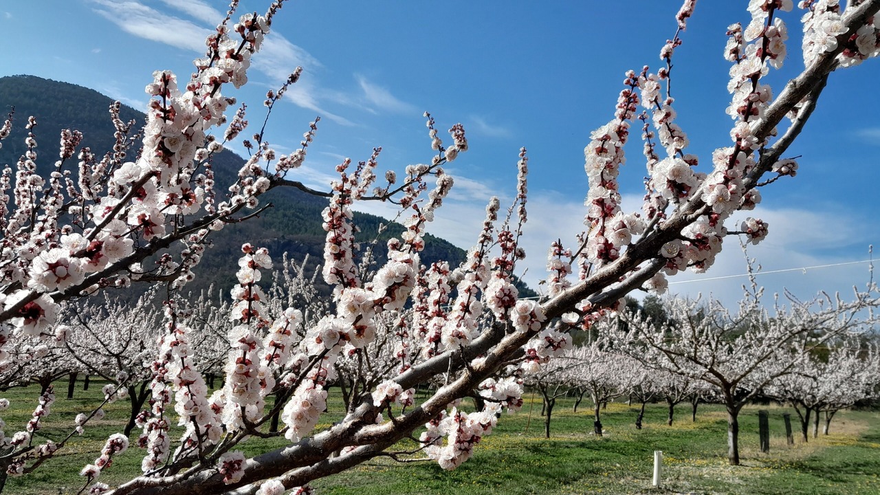 Photo of Others in Buis-les-Baronnies