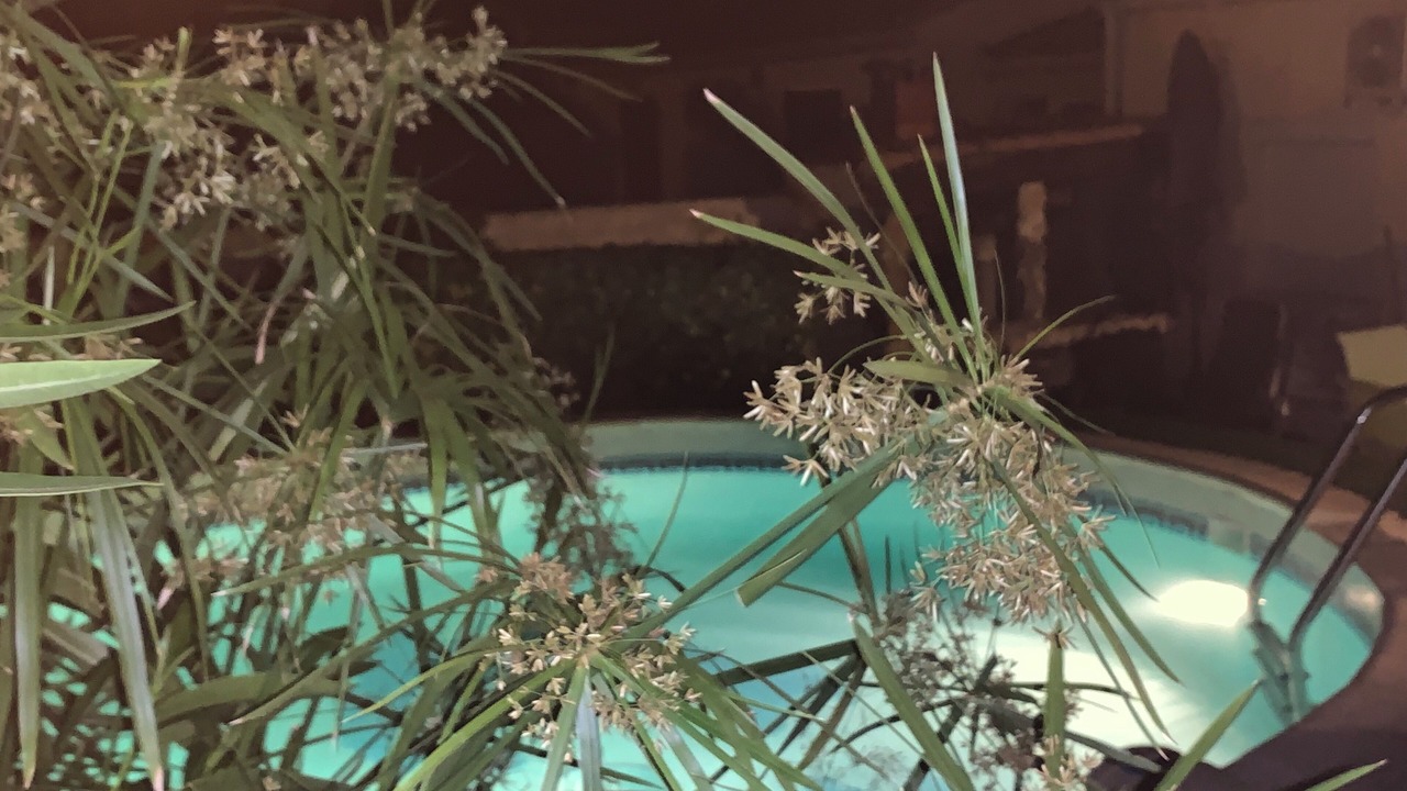 Photo of Outdoor in Mauguio