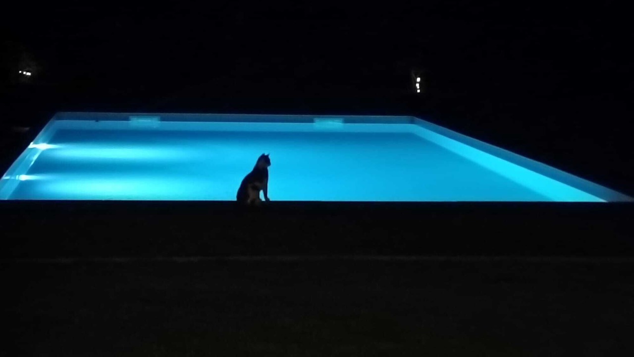 Photo of Outdoor in Carpentras