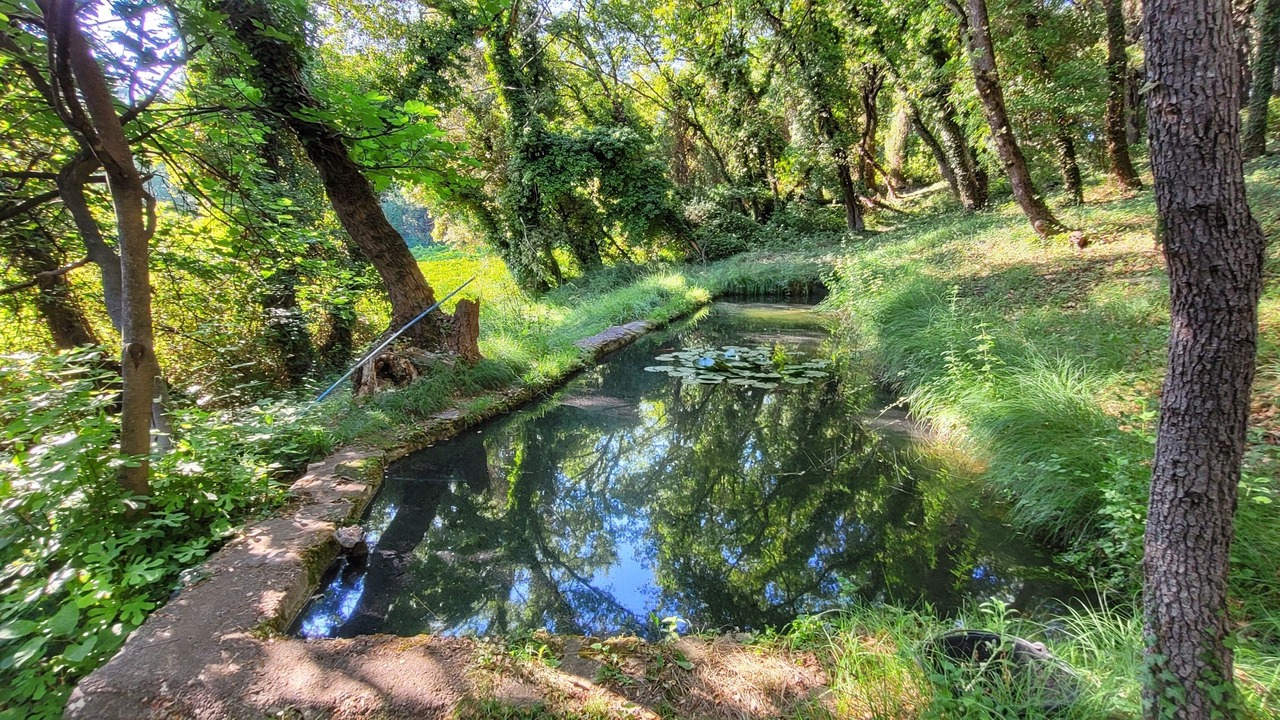 Photo of Outdoor in Bollene