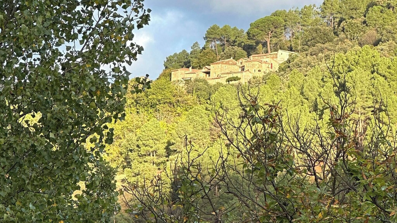 Photo of Outdoor in Saint-Paul-la-Coste
