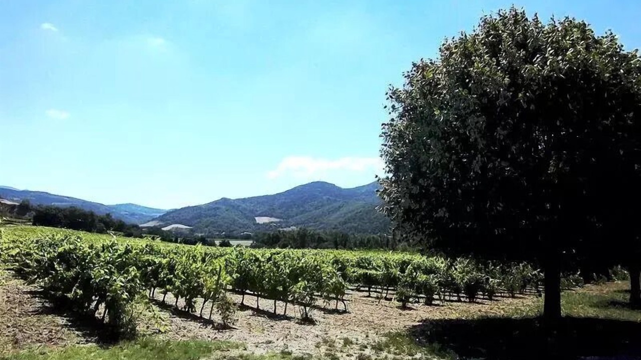 Photo of Others in Buis-les-Baronnies