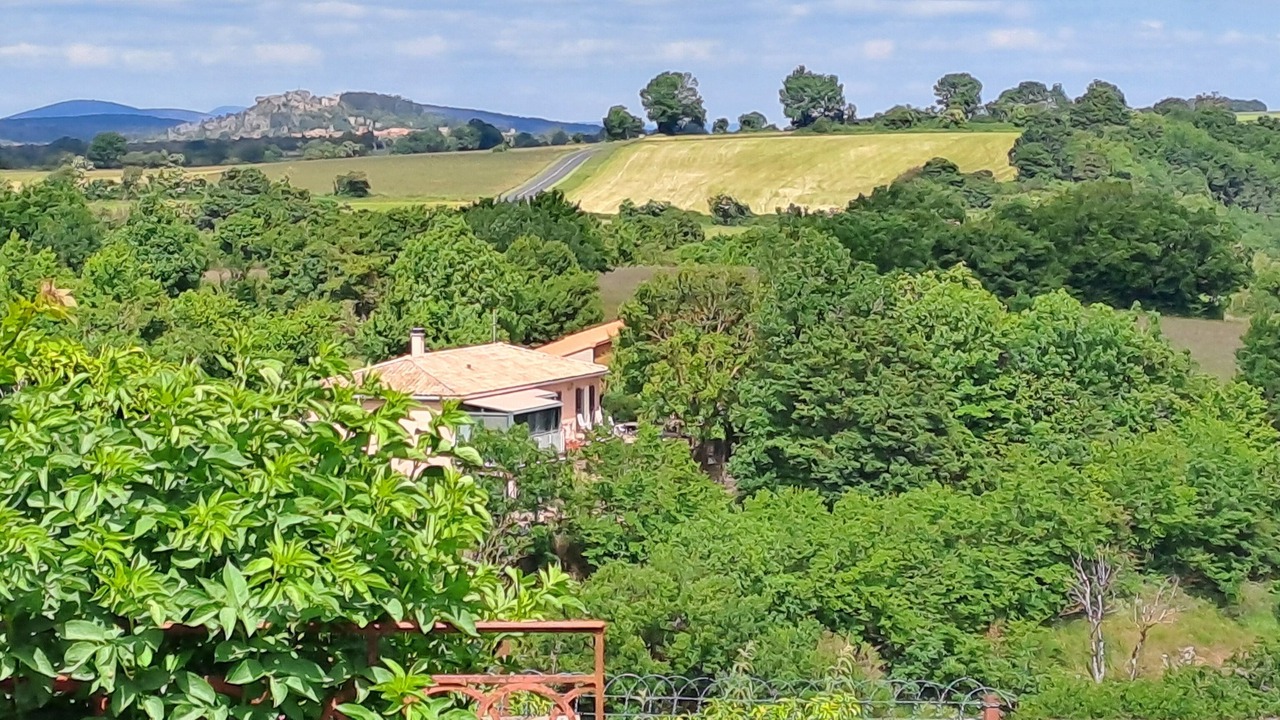 Photo of Others in Le Caylar