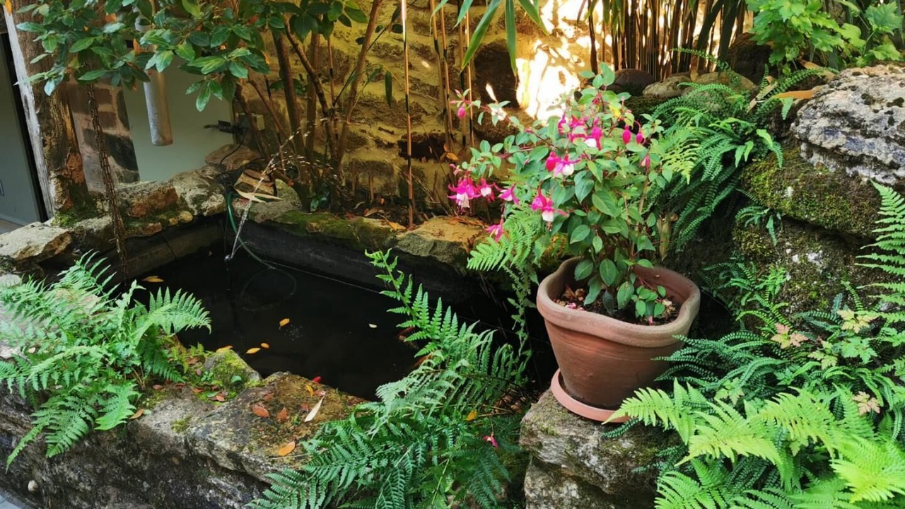 Photo of Outdoor in Felzins