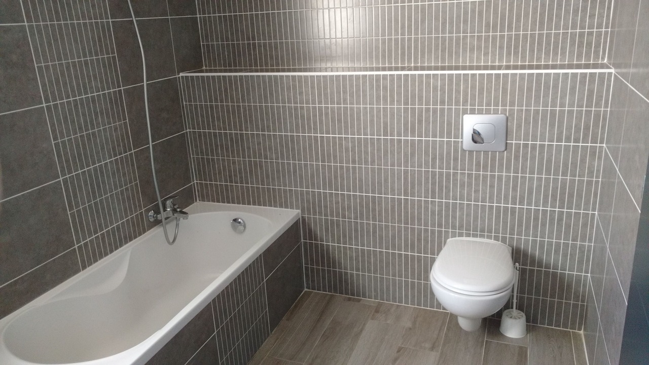 Photo of Bathroom in Ales