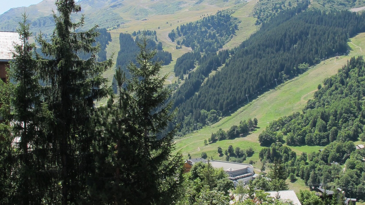 Photo of Outdoor in Meribel