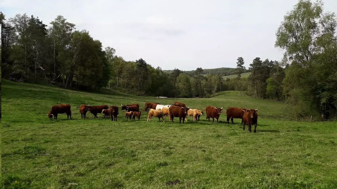 Photo of Others in Sexcles
