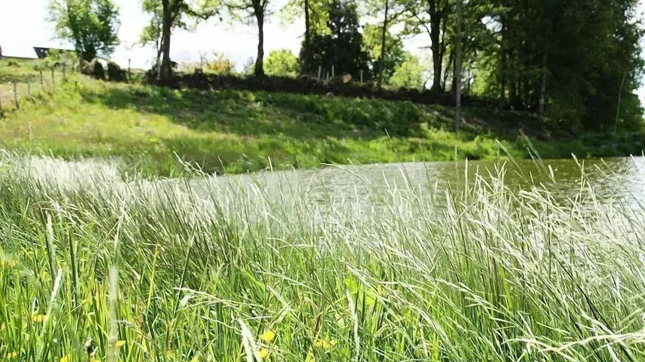 Photo of Others in Saint-Cirgues-la-Loutre