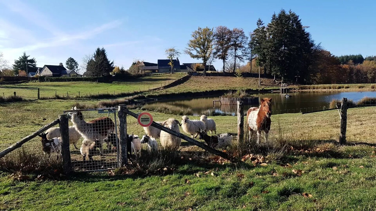 Photo of Outdoor in Saint-Cirgues-la-Loutre