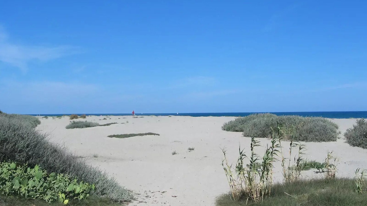 Photo of Others in Sainte-Marie-la-Mer