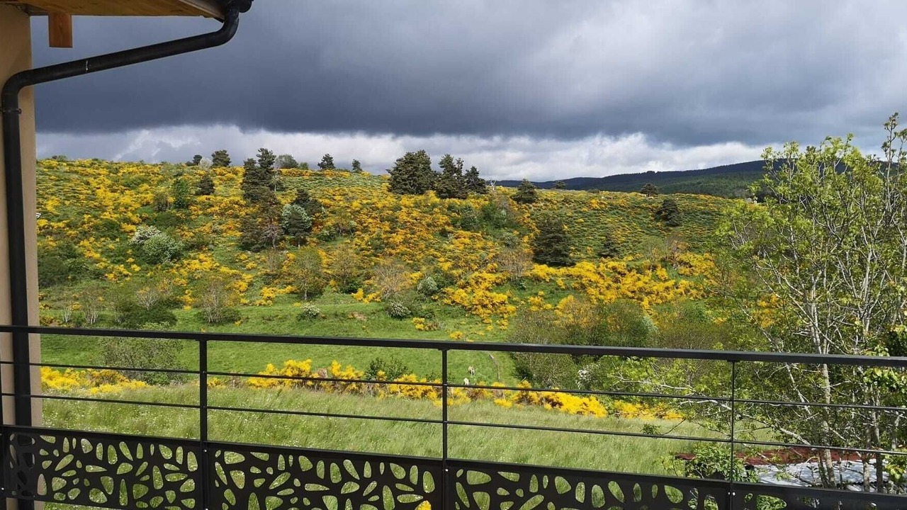 Photo of Outdoor in Saint-Denis-en-Margeride