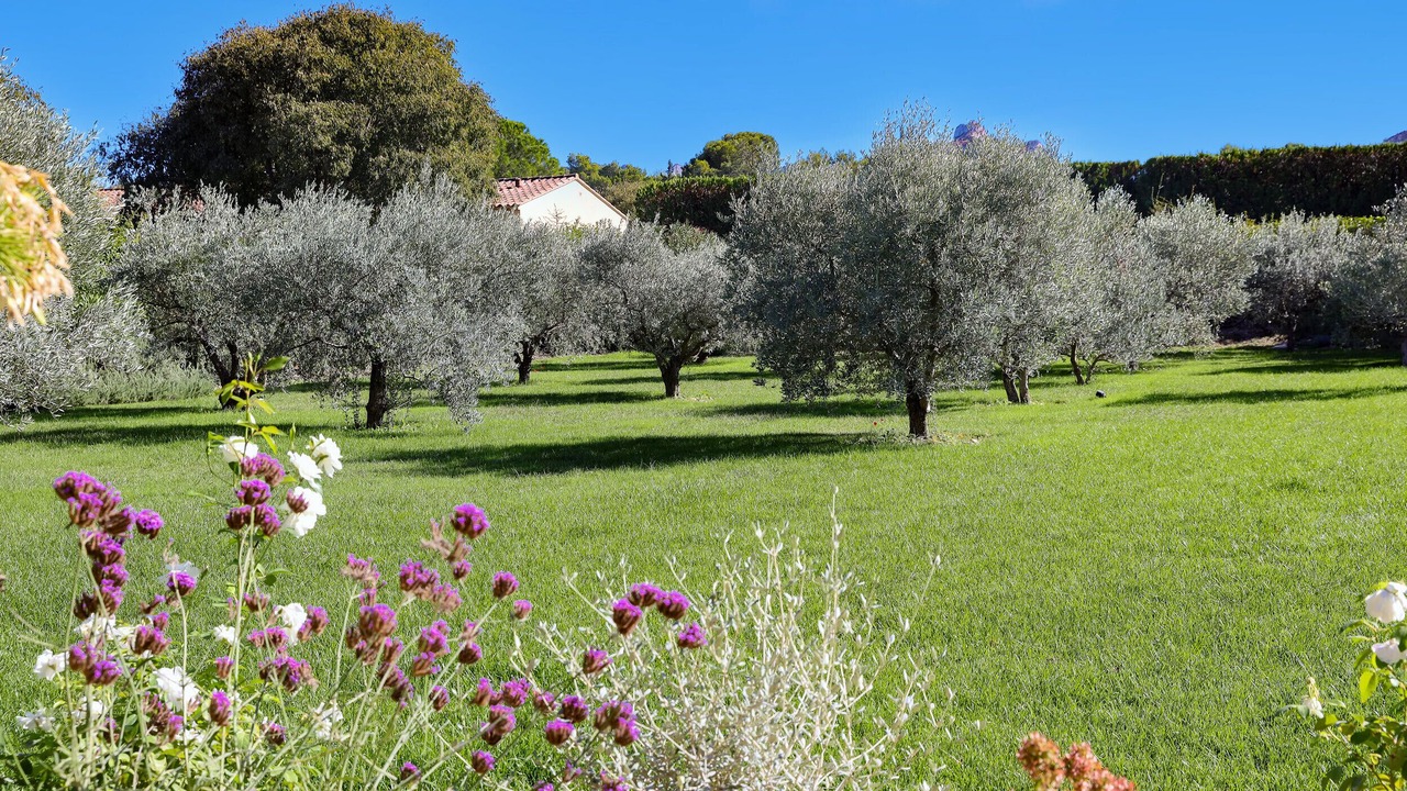 Photo of Outdoor in St.-Remy-de-Provence
