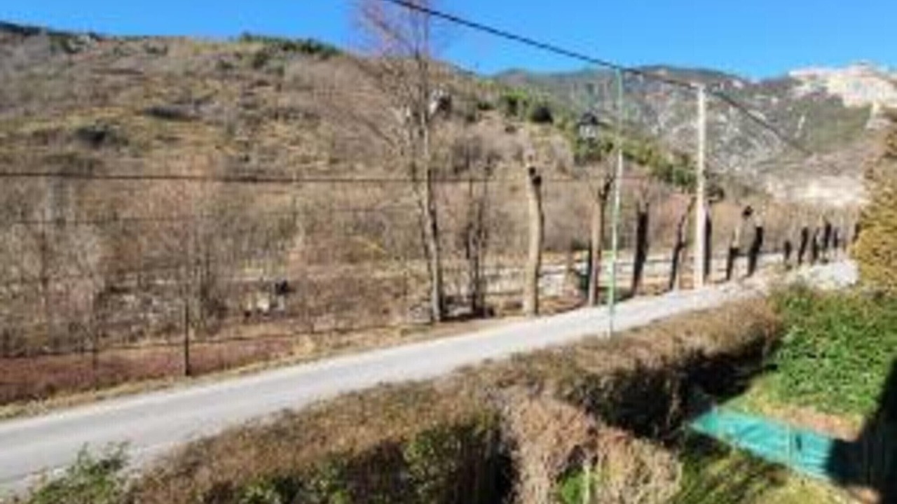 Photo of Others in Tende