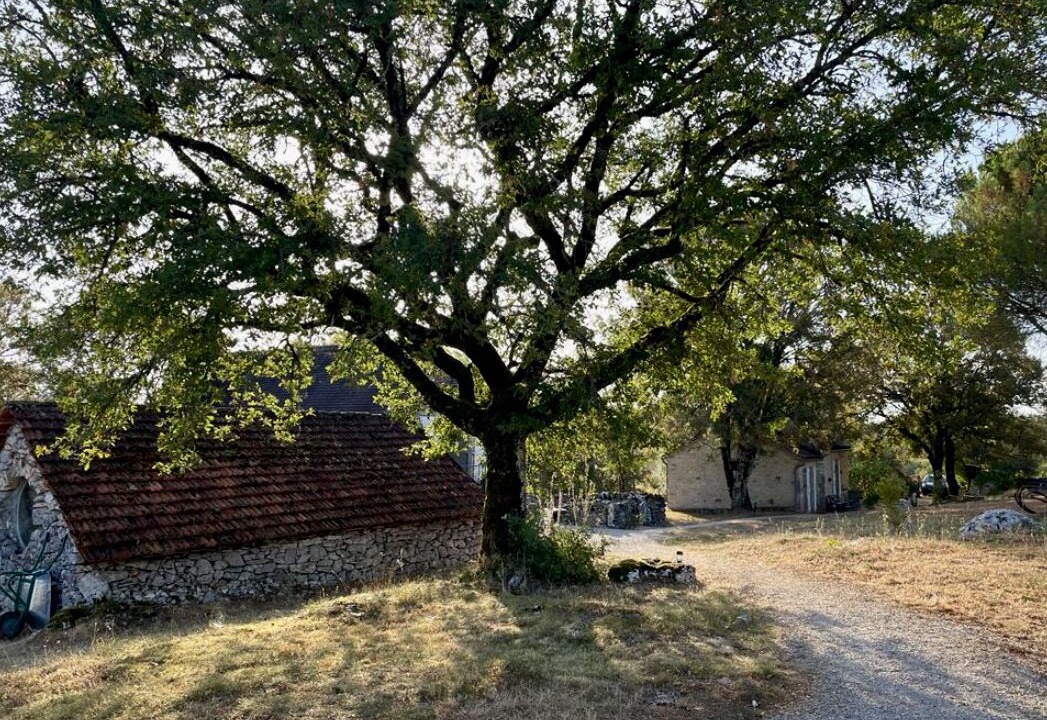 Photo of Outdoor in Orniac