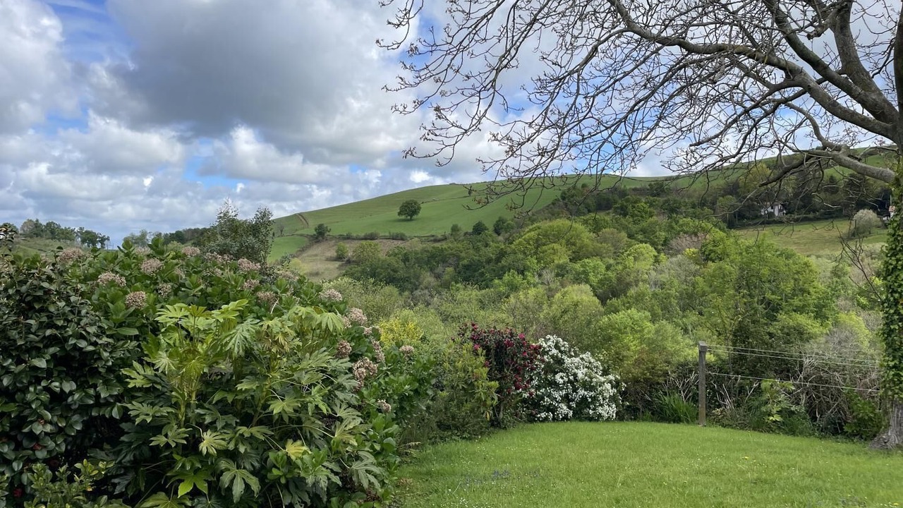 Photo of Outdoor in Itxassou