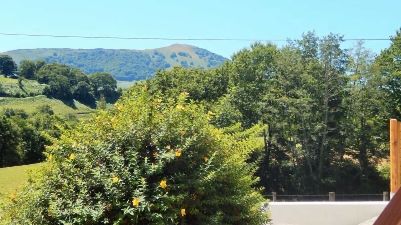 Photo of Outdoor in Helette
