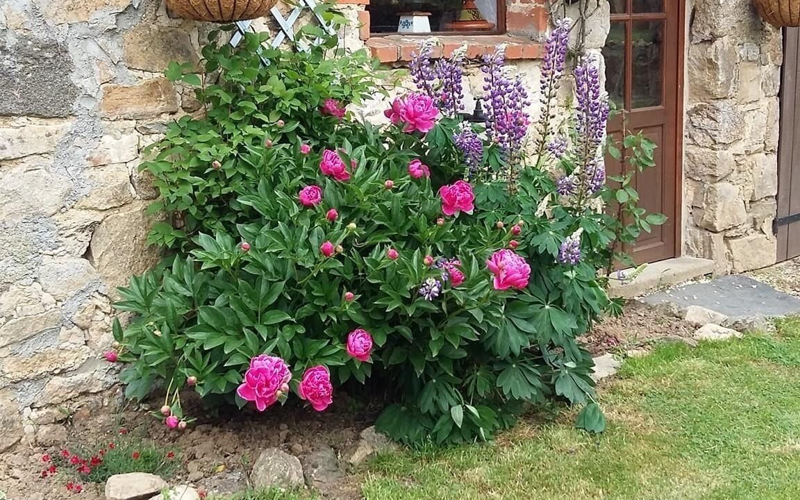 Photo of Outdoor in Saint-Yrieix-la-Perche