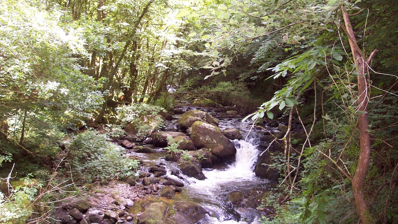 Photo of Outdoor in Le Bourg