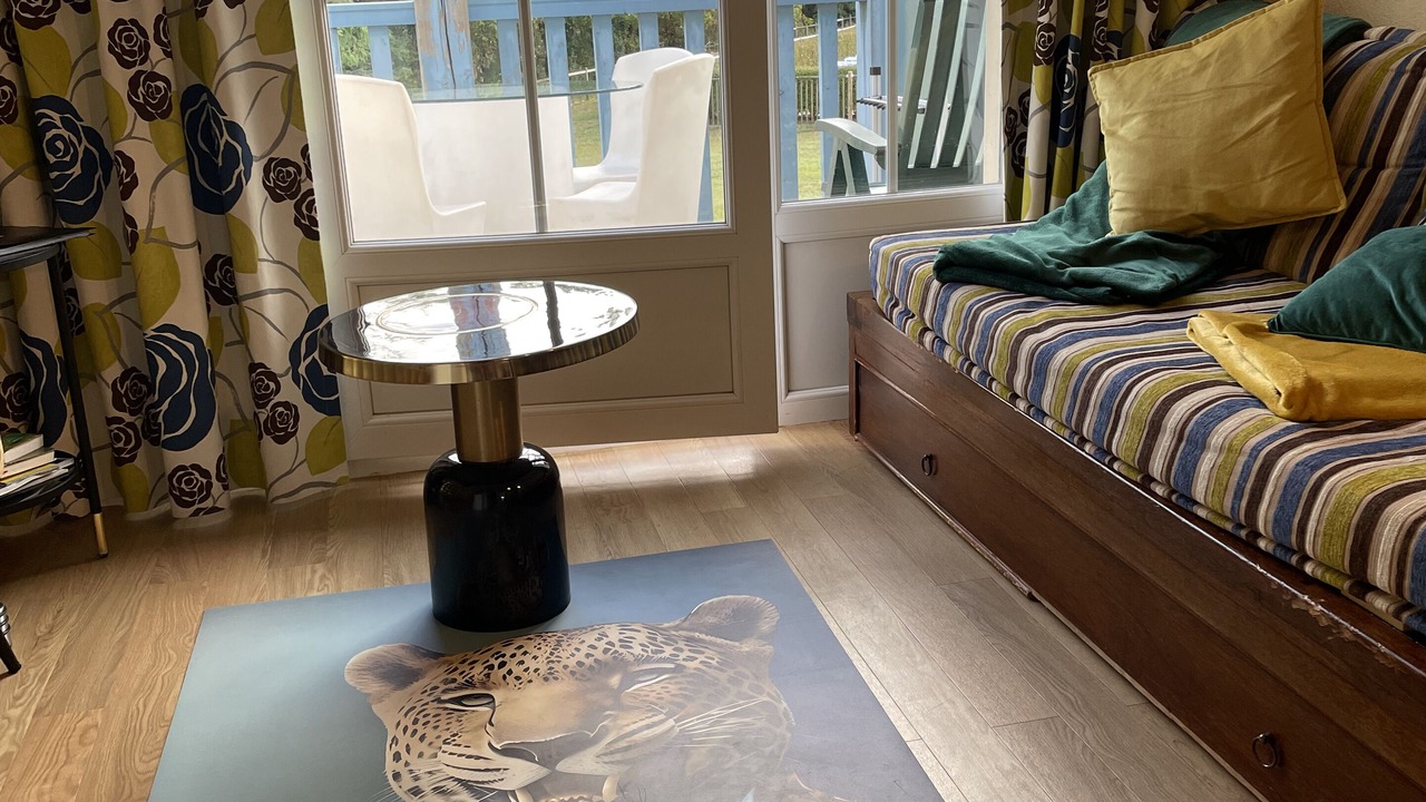 Photo of Livingroom in Argentat