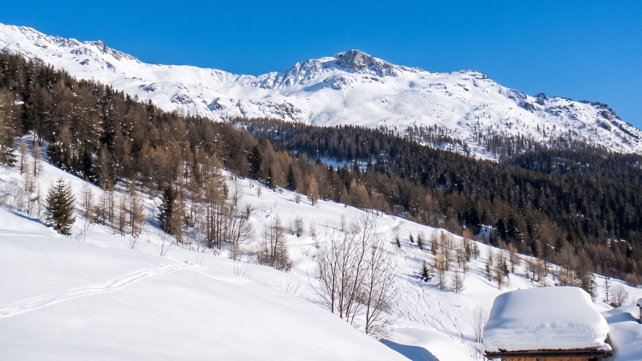Photo of Others in Sainte-Foy-Tarentaise