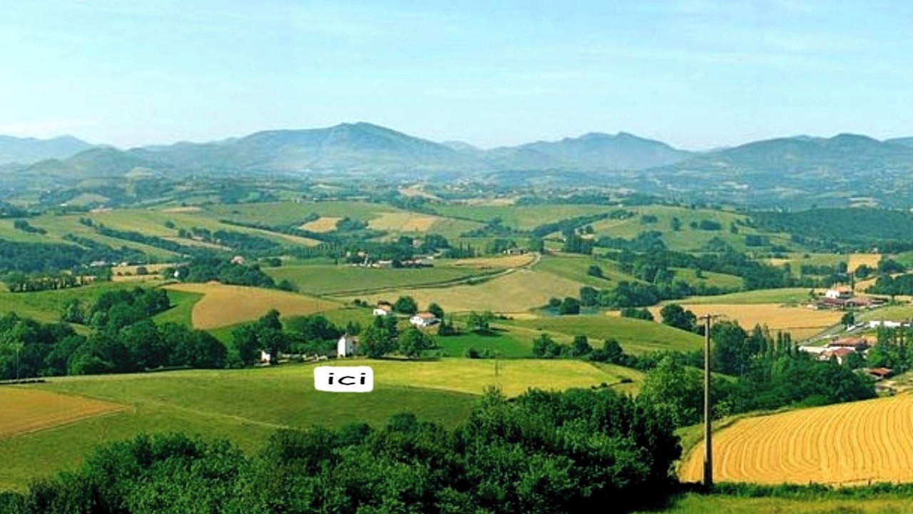 Photo of Others in Bardos