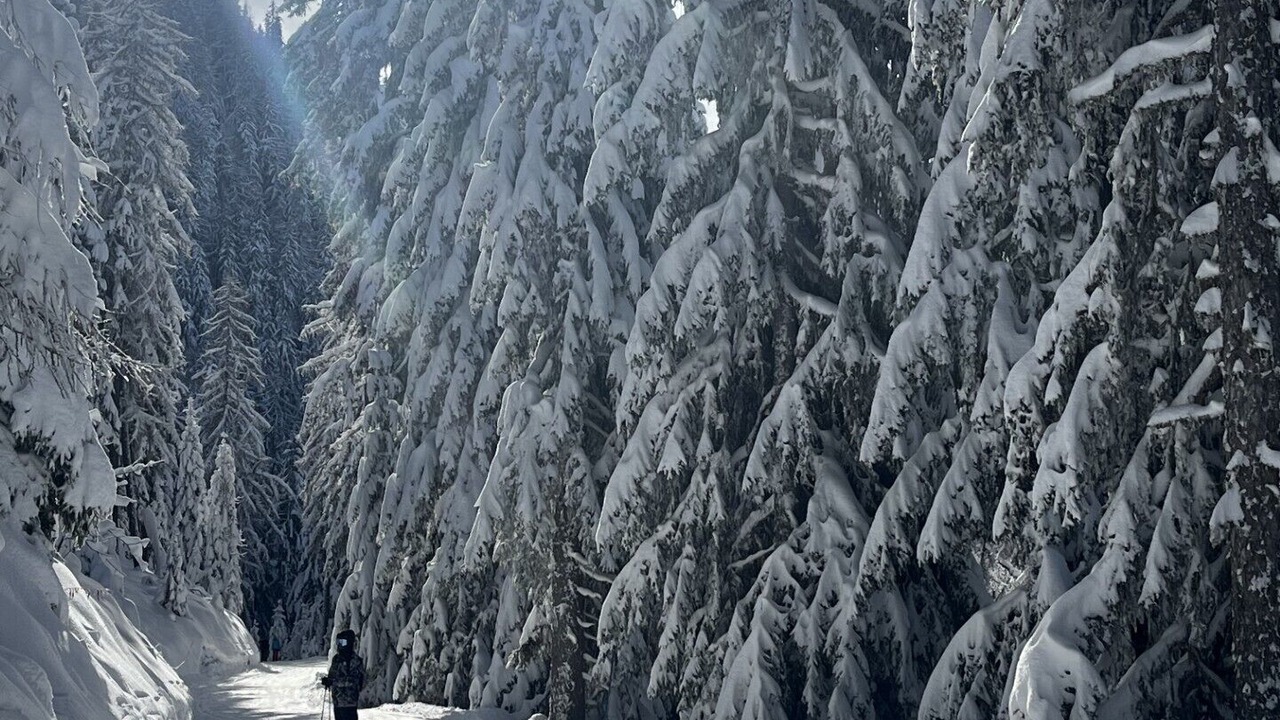Photo of Others in Sainte-Foy-Tarentaise