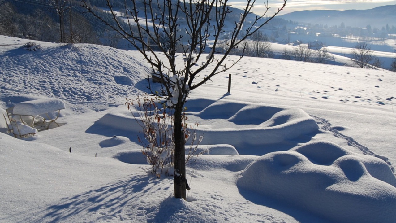 Photo of Outdoor in Villard-de-Lans