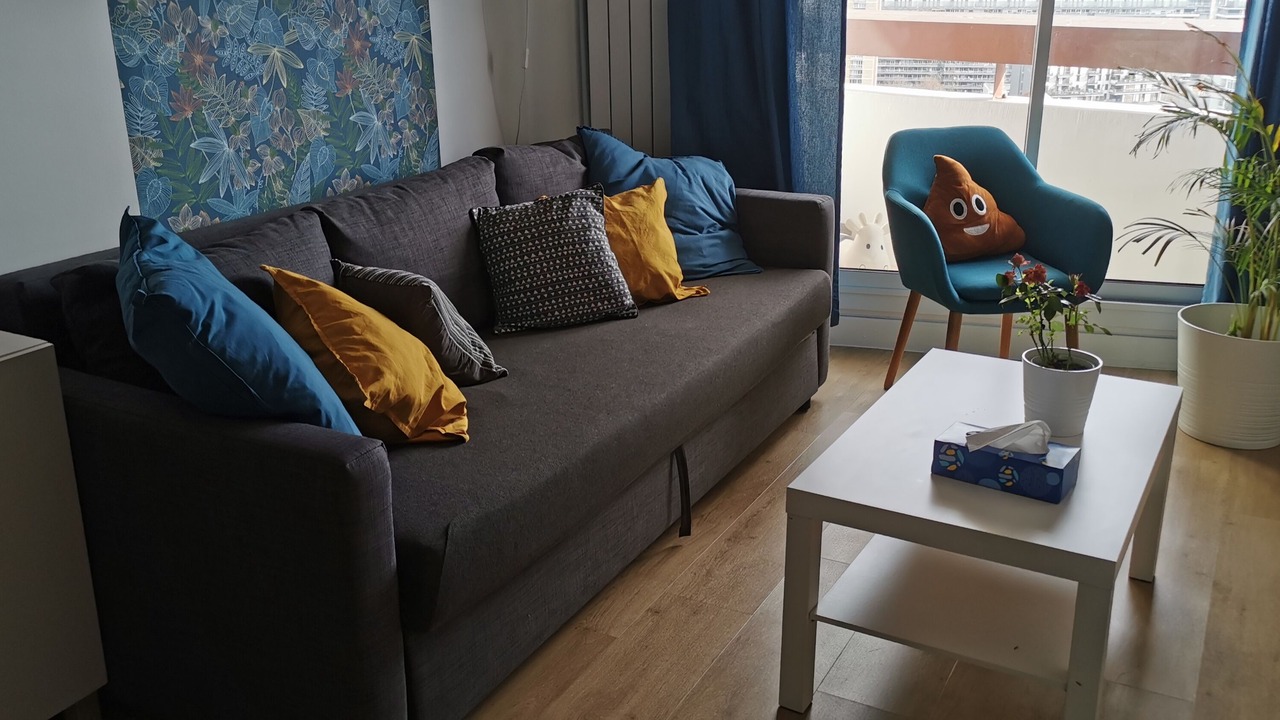 Photo of Livingroom in 13th Arrondissement