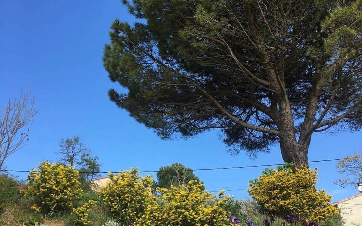 Photo of Others in Montgaillard-Lauragais