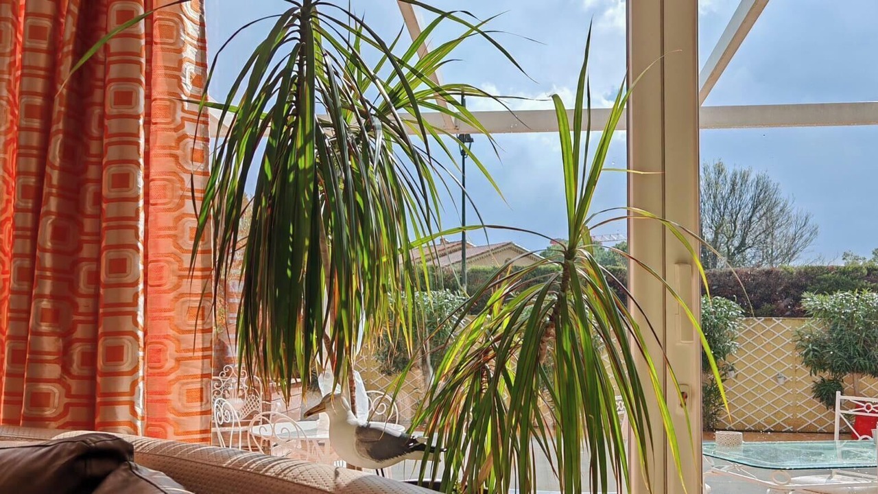 Photo of Outdoor in Eyguieres