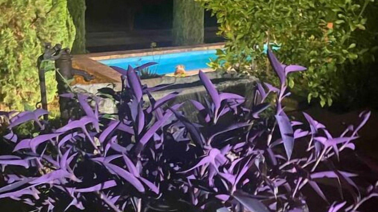 Photo of Outdoor in Aubais