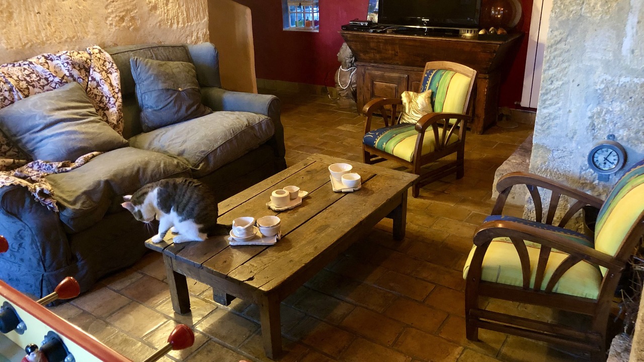 Photo of Livingroom in Salon-de-Provence