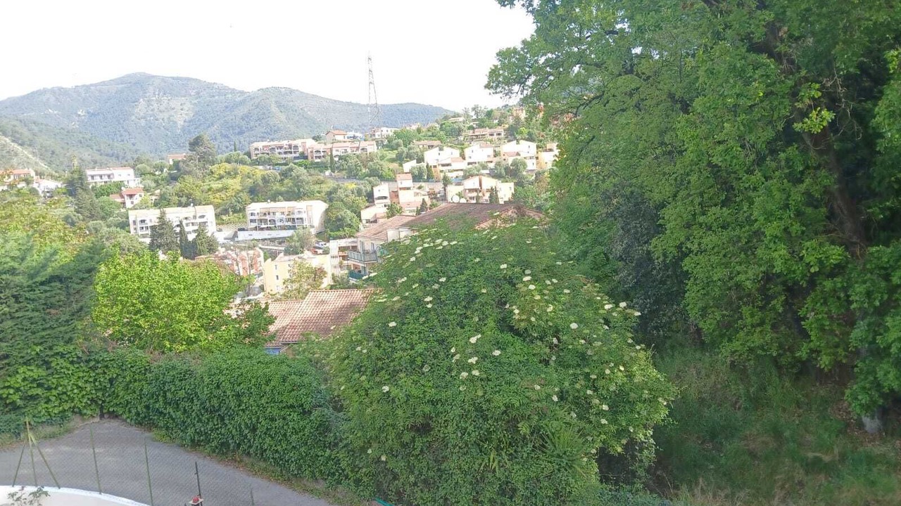 Photo of Others in La Trinite