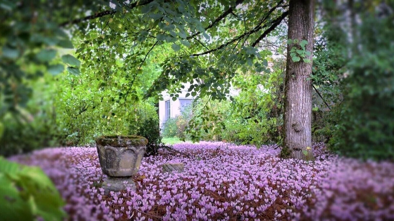 Photo of Outdoor in Denat