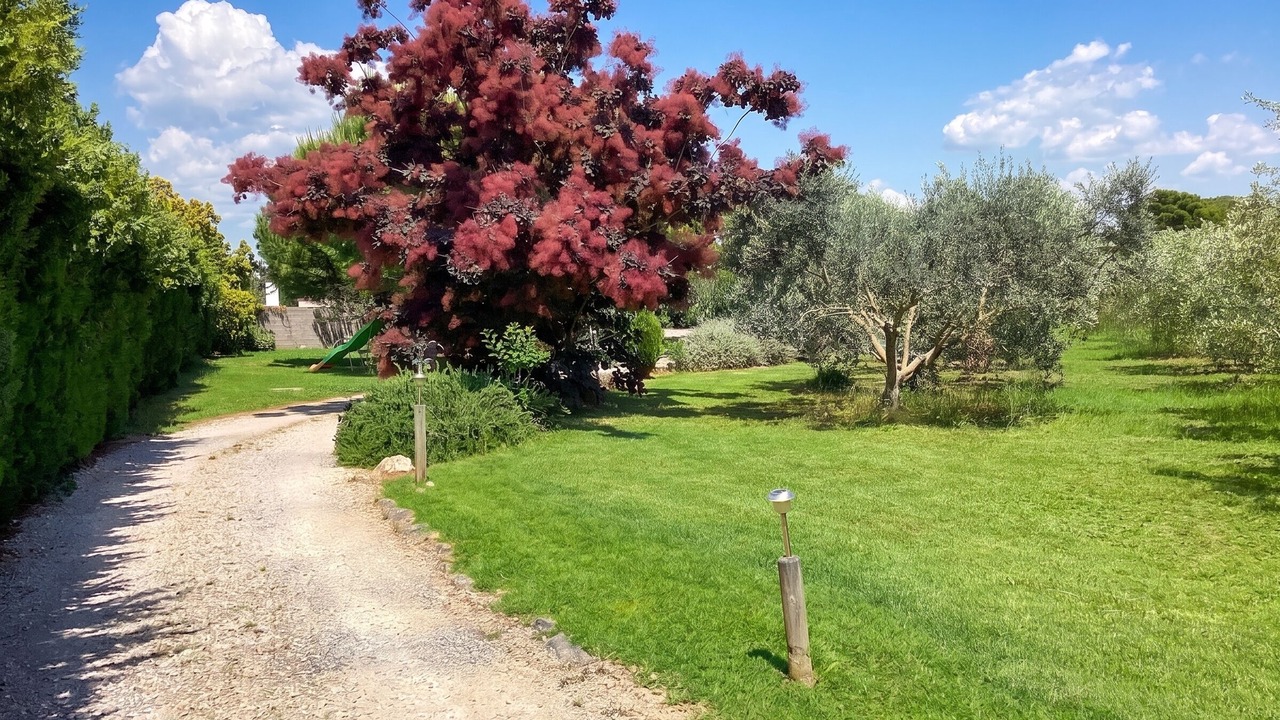 Photo of Outdoor in Saint-Nazaire-de-Pezan