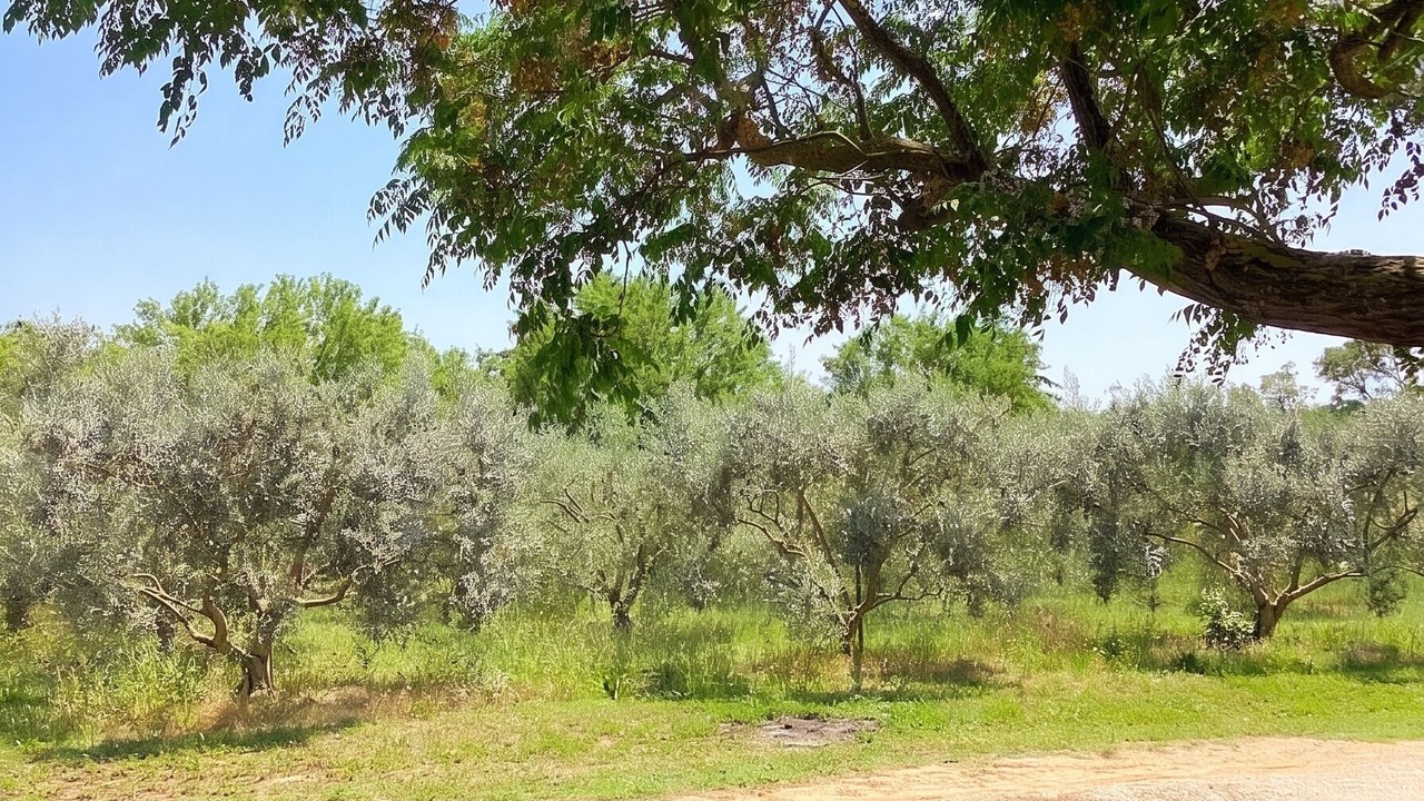 Photo of Outdoor in Saint-Nazaire-de-Pezan