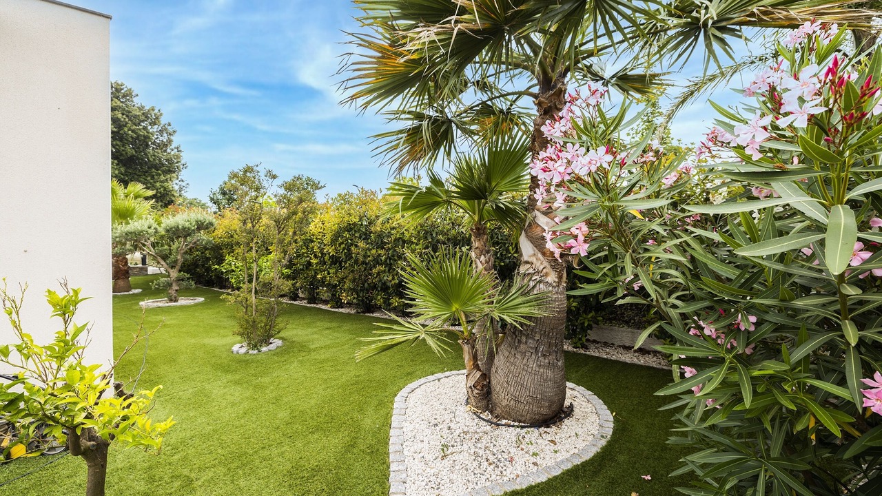 Photo of Outdoor in Saint-Cyprien