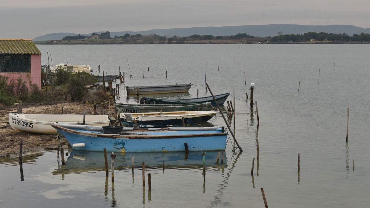 Photo of Others in Villeneuve-les-Maguelone