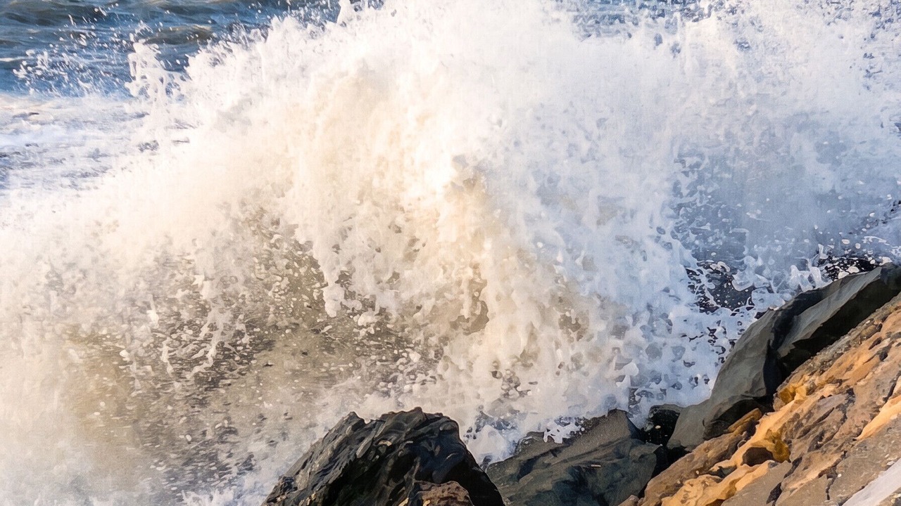 Photo of Others in Le Verdon-sur-Mer