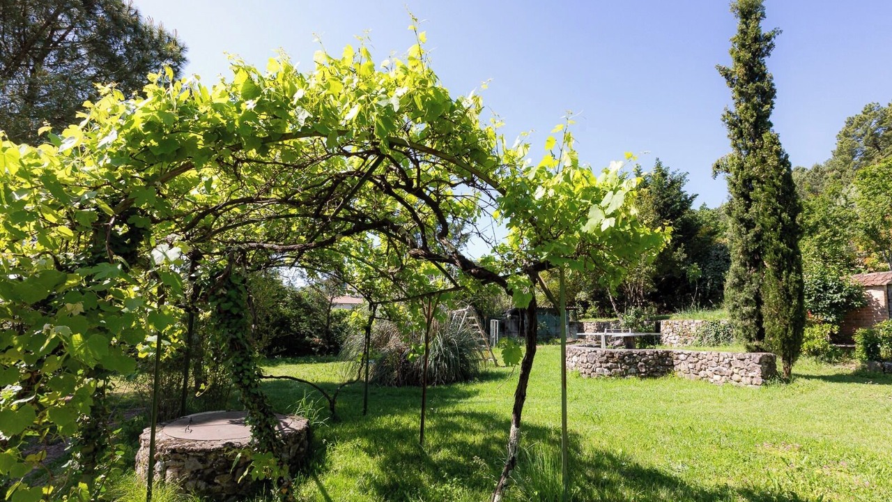 Photo of Outdoor in Saint-Paul-le-Jeune