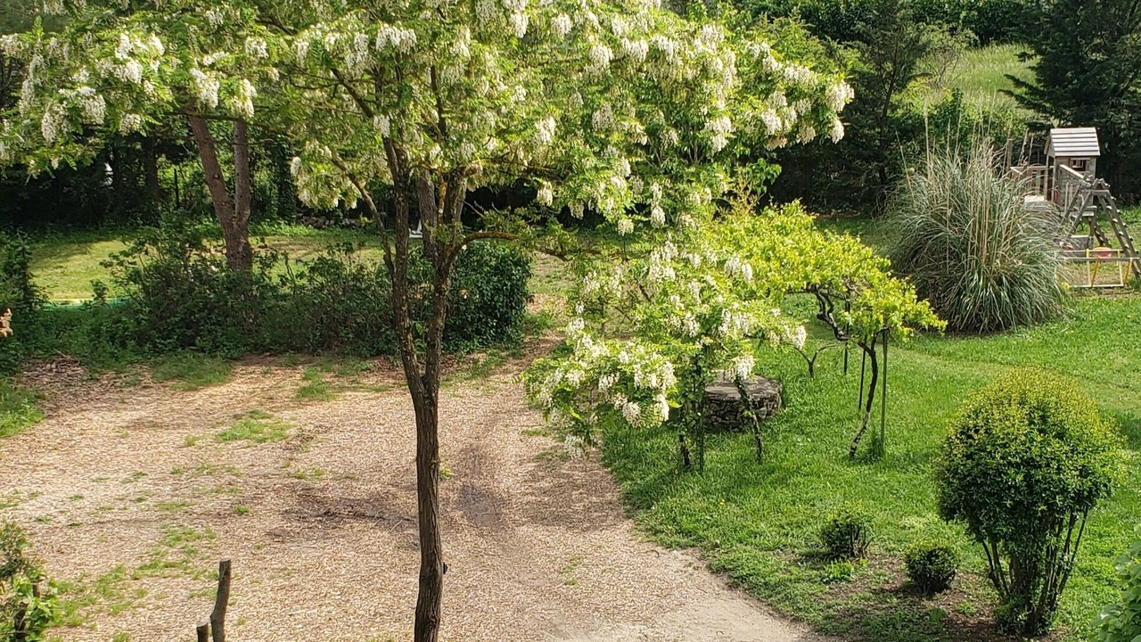 Photo of Outdoor in Saint-Paul-le-Jeune