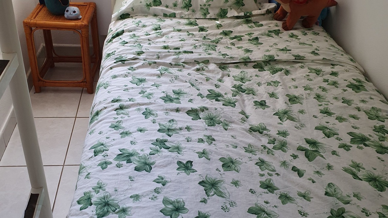 Photo of Bedroom in Torreilles